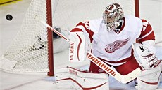 Petr Mrázek hájí branku Detroitu Red Wings.