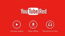YouTube RED stojí m�sí�n� 9,90 USD.