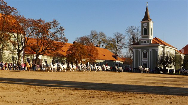Hřebčín chystá pro návštěvníky řadu akcí. Například Den starokladrubského koně, který připadne na 26. května.