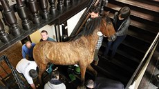 Sthování Valdtejnova kon z chebského muzea.