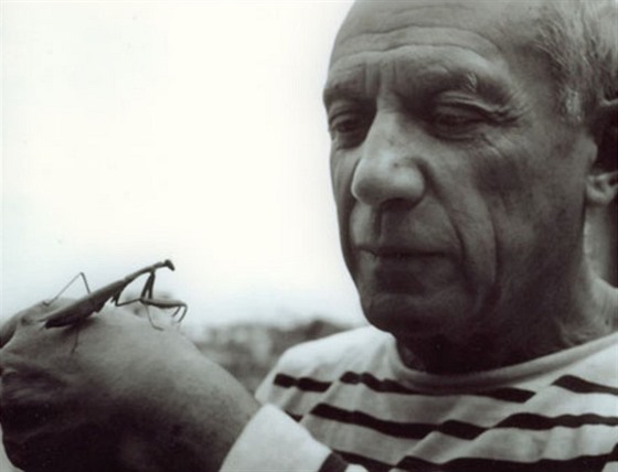 Pablo Picasso v roce 1955