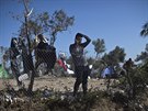 Uprchlíci v táboe na eckém ostrov Lesbos.  (4. listopadu 2015)