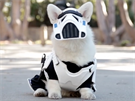 Star Wars pes