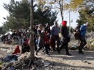 Uprchlíci v Makedonii (7. listopad 2015)