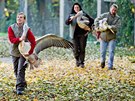 Oetovatelé ve dvorské zoo více ne ticet pták s mohutným zobákem chytili...