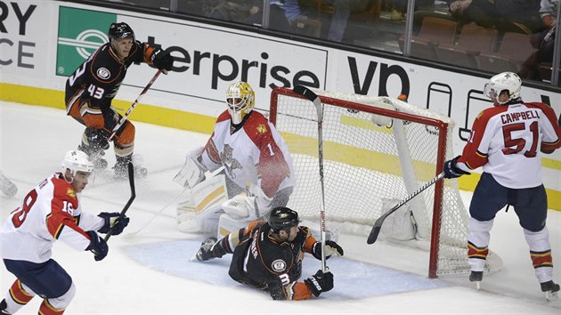 Clayton Stoner z Anaheimu spadl v brankoviti Floridy. Branku chrn glman Roberto Luongo a  Brian Campbell (vpravo).