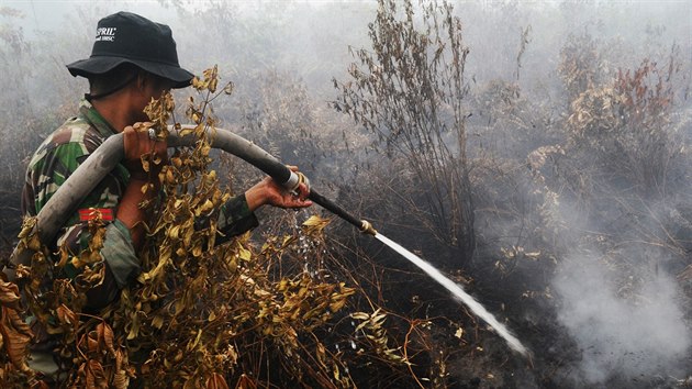 Rozsáhlé požáry ničí Indonésii. (16. září 2015)