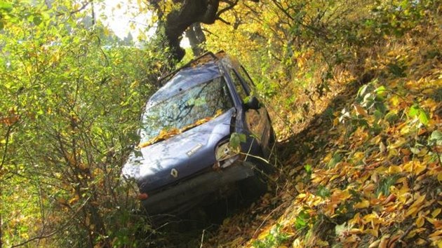 idika vyjela se silnice. Auto, v nm vezla dv dti, narazilo do stromu.