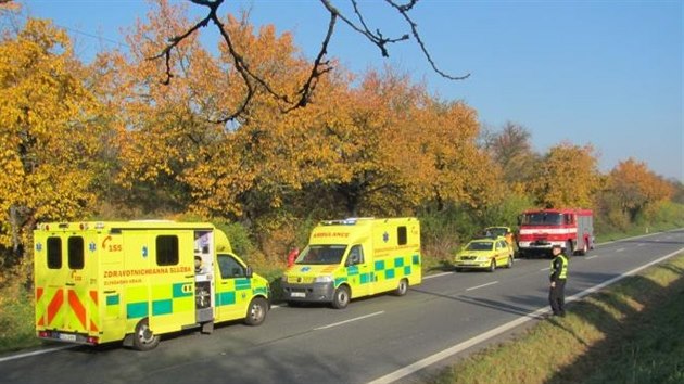 idika vyjela se silnice. Auto, v nm vezla dv dti, narazilo do stromu.