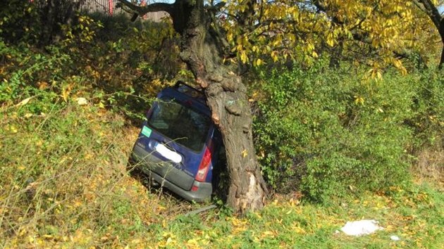 idika vyjela se silnice. Auto, v nm vezla dv dti, narazilo do stromu.