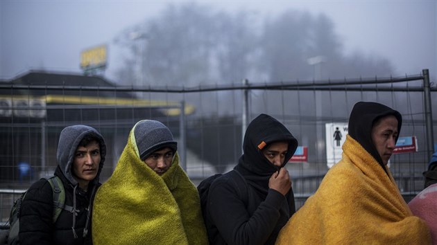 Uprchlci pechzej slovinsko-rakousk hranice u obce entijl (3. listopadu 2015).