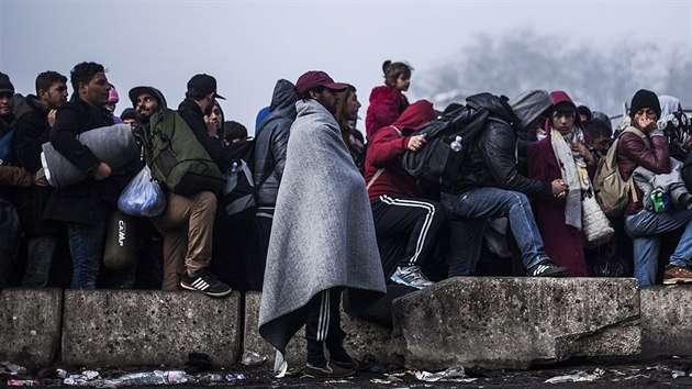 Uprchlci pechzej slovinsko-rakousk hranice u obce entijl .(3. listopadu 2015)