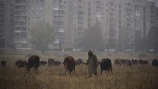 Krizi na Ukrajin spustily demonstrace na kyjevském Majdanu