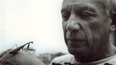 Pablo Picasso v roce 1955