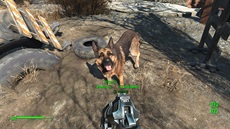 Fallout 4 (PC)