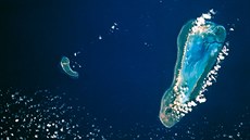 Aldabra je druhým nejv�t�ím korálovým atolem na sv�t�, je 34 km dlouhý a 14,5...