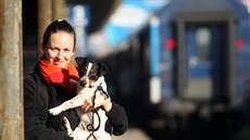 Právni�ka Zuzana Candigliota (5. 11. 2015).