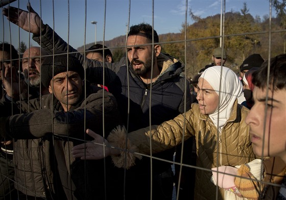 Slovinsko nezvládá píliv migrant a staví plot na hranici s Chorvatskem.