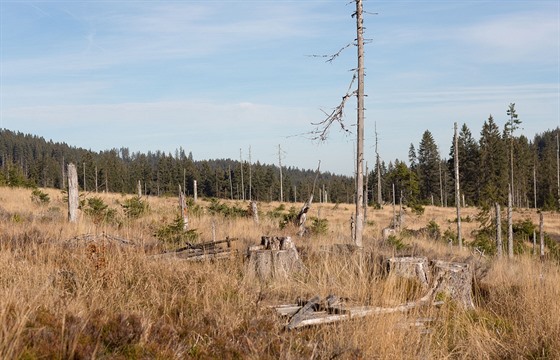 Terénní prezentace správy NP umava piblíila zpsoby boje proti krovci v...