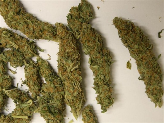 Celní správa našla díky chybějící dálniční známce skoro dvě kila marihuany.