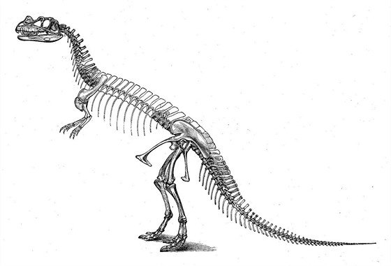 Dnes ji zastaralá rekonstrukce kostry jednoho z mnoha jurských dinosaur,...