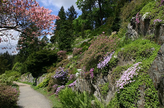 Podzámecké alpinum v Průhonickém parku.