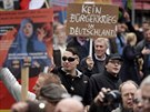 Lidé protestují v Berlín na demonstraci svolané Alternativou pro Nmecko (7....