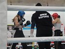 Mistryn svta v kickboxu Martina Ptkov (vlevo).