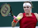 FORHEND. Anastasia Pavljuenkovová ve finále Fed Cupu.