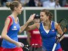 PARAKY. Karolína Plíková a Barbora Strýcová ve tyhe ve finále Fed Cupu.