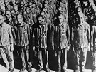 Holandí idé (oznaeni N) v Buchenwaldu
