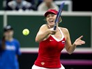 BOJ. Maria arapovová ve finále Fed Cupu