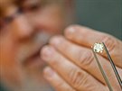 Leibish Polnauer s barevnými diamanty v celkové hodnot 100 milion korun.