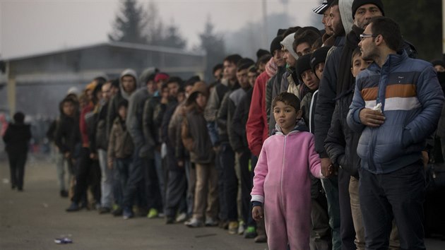 Slovinsko nezvld pliv migrant a stav plot na hranici s Chorvatskem.