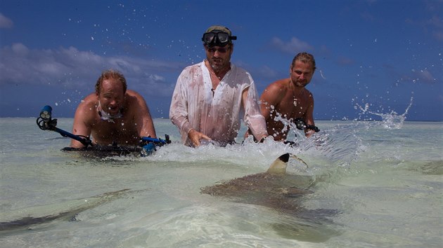 Natáčení se žraloky na mělčině, u pobřeží atolu Aldabra.