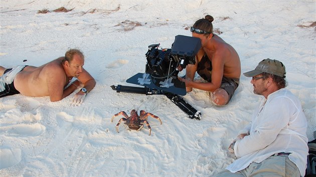 Krab palmový je obr samotář a zblízka je opravdu fascinující. "Jako herec se ale odmítá řídit pokyny režiséra," kostatuje s úsměvem Steve Lichtag (na snímku vpravo).