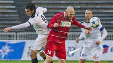 Takto se radovali fotbalisté Ústí nad Labem z pohárového postupu pes Slavii.