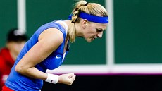 POOOOJ! Petra Kvitová a její radost ve finálovém klání Fed Cupu