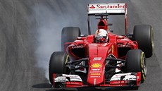 Sebastian Vettel bhem kvalifikace na Velkou cenu Brazílie