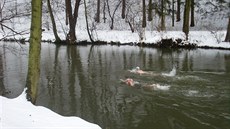 Závodní kulisa zimního plavání