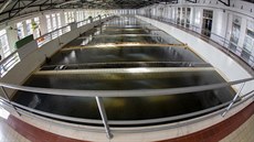 Zhruba 100.000 metr� krychlových vody denn� vyprodukuje klí�ová úpravna vody...
