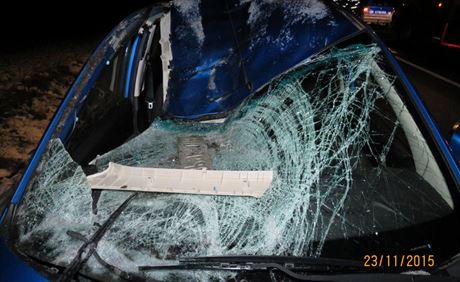 Dopravní nehoda u Horovského Týna (23. 11. 2015)