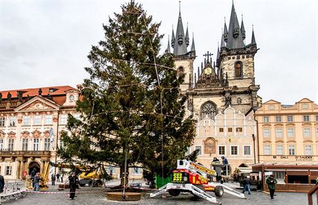 Vánoní strom Na Staromstském námstí je u ozdobený (25.11.2015).