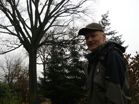Pedseda spolku Biokontakt Martin Just bojuje za záchranu stromu (19.11.2015).