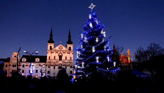 Vánoní strom v Jihlav se rozsvítí v nedli 29. listopadu.