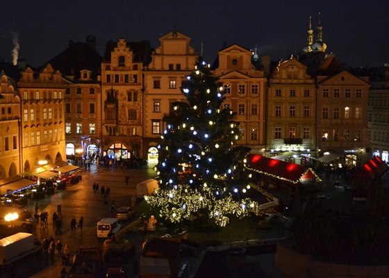 Stromeek na Staromstském námstí.