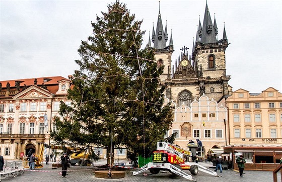 Vánoní strom Na Staromstském námstí je u ozdobený (25.11.2015).