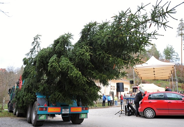 Váno�ní strom pro Brno
