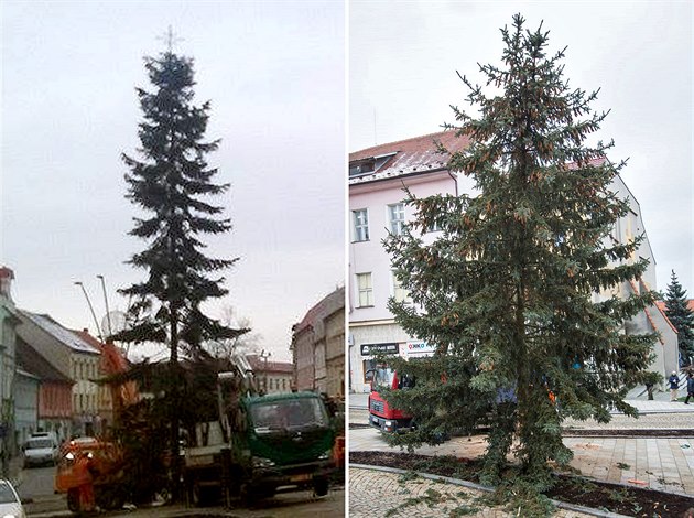 Váno�ní jedle ve Strakonicích (vlevo) se lidem nelíbila, a tak musela ve...