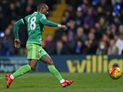 TO JE GÓL. Zkuený útoník Jermain Defoe vyuil hrubky obrany Crystalu Palace a...